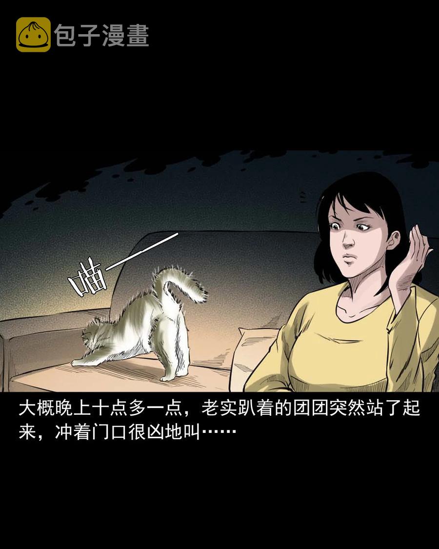 三老爷惊奇手札韩漫全集-511 猫看见了什么无删减无遮挡章节图片 