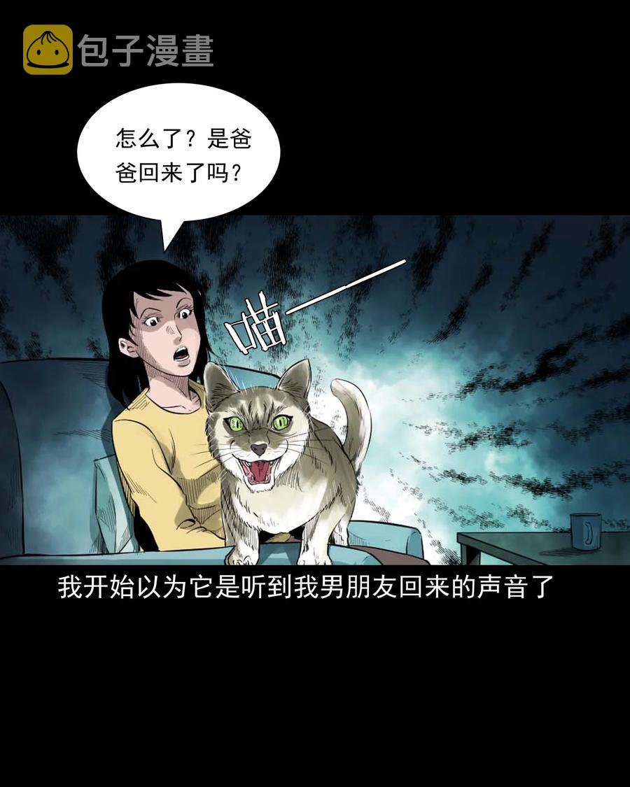 三老爷惊奇手札韩漫全集-511 猫看见了什么无删减无遮挡章节图片 