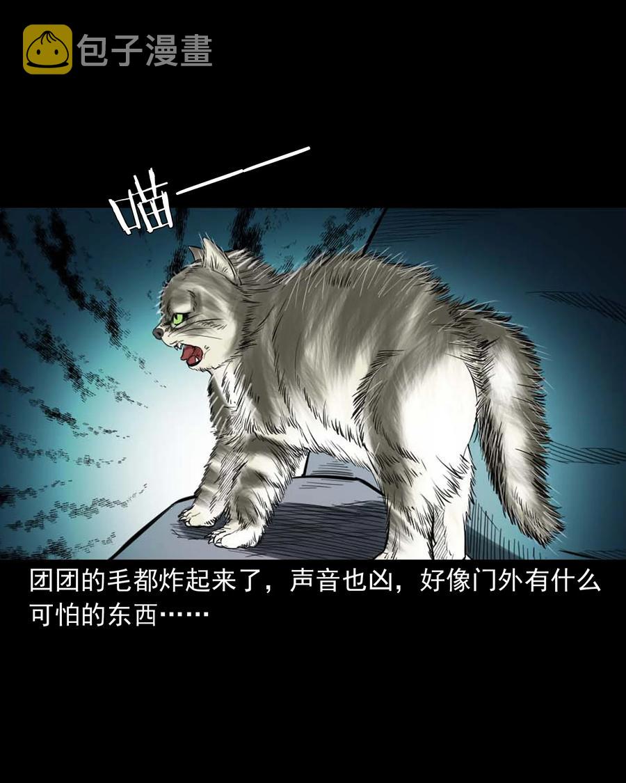 三老爷惊奇手札韩漫全集-511 猫看见了什么无删减无遮挡章节图片 