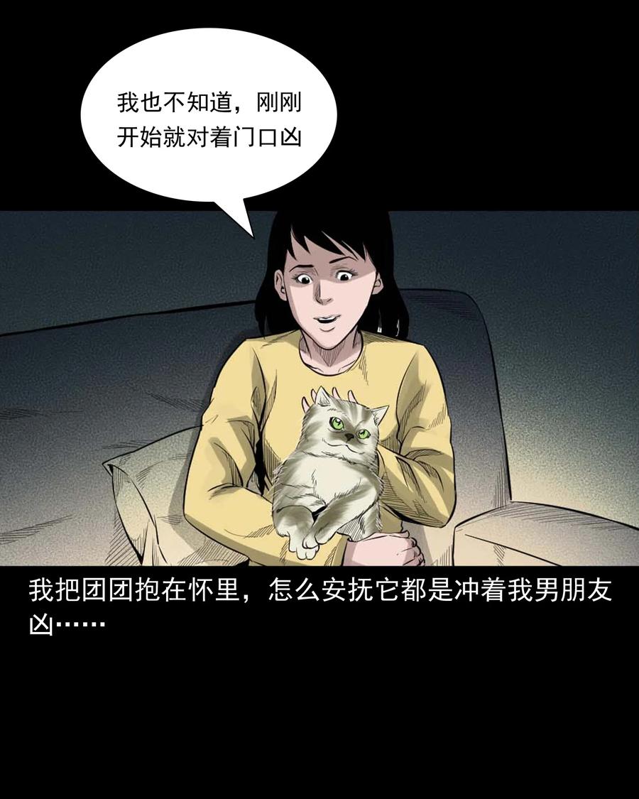 三老爷惊奇手札韩漫全集-511 猫看见了什么无删减无遮挡章节图片 