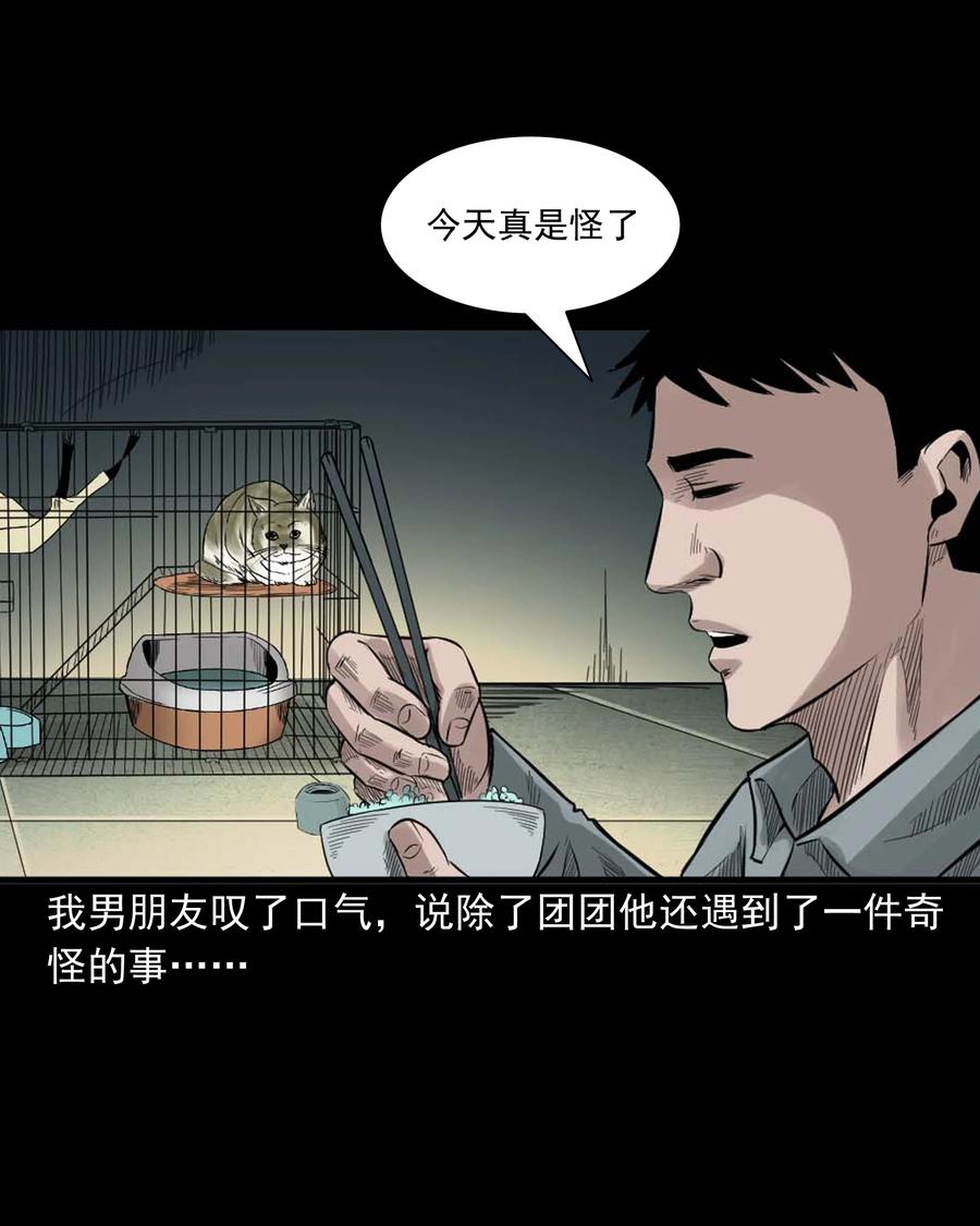 三老爷惊奇手札韩漫全集-511 猫看见了什么无删减无遮挡章节图片 