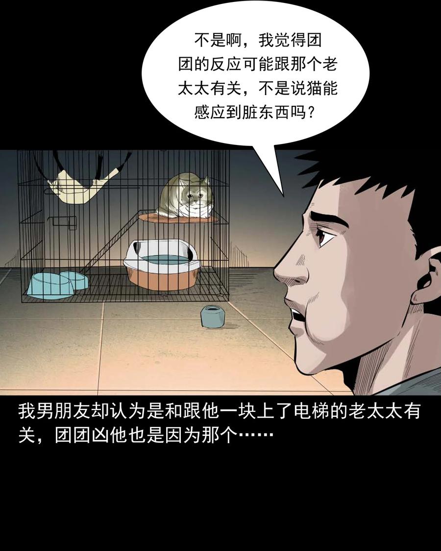 三老爷惊奇手札韩漫全集-511 猫看见了什么无删减无遮挡章节图片 