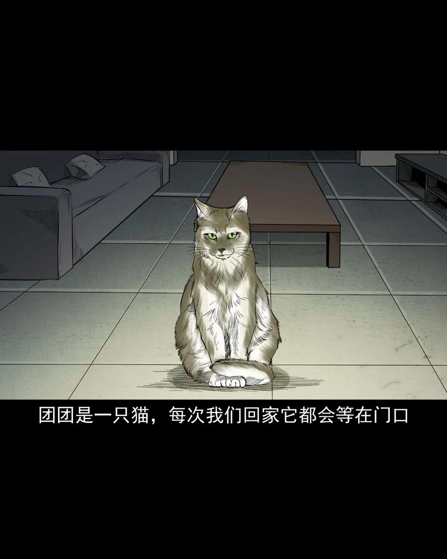 三老爷惊奇手札韩漫全集-511 猫看见了什么无删减无遮挡章节图片 