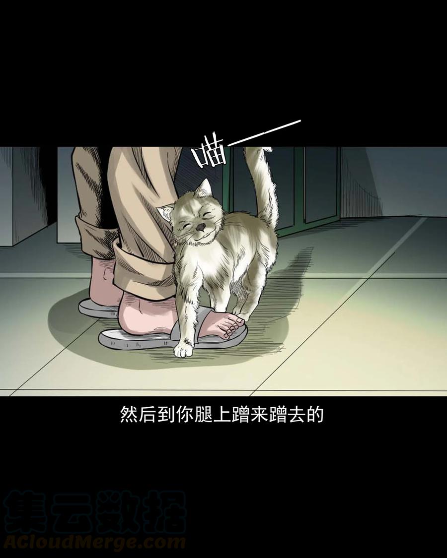三老爷惊奇手札韩漫全集-511 猫看见了什么无删减无遮挡章节图片 