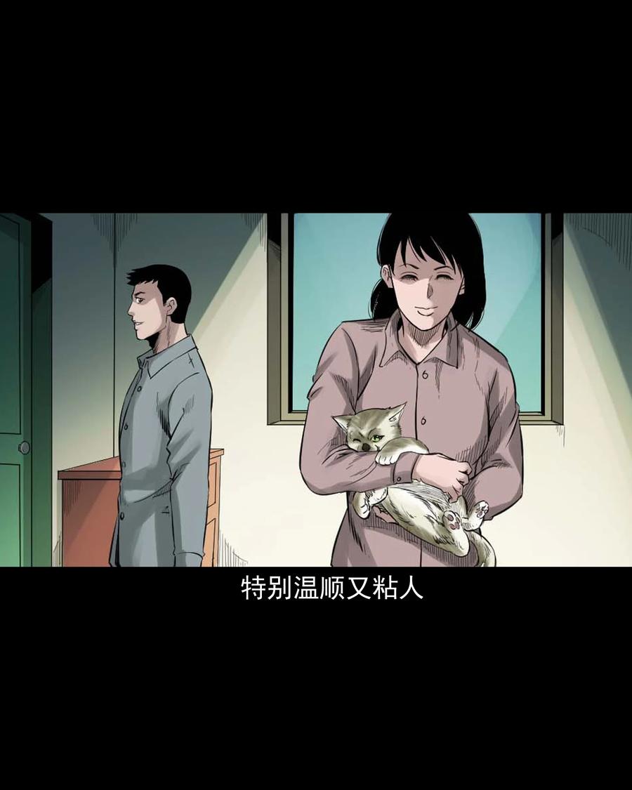 三老爷惊奇手札韩漫全集-511 猫看见了什么无删减无遮挡章节图片 