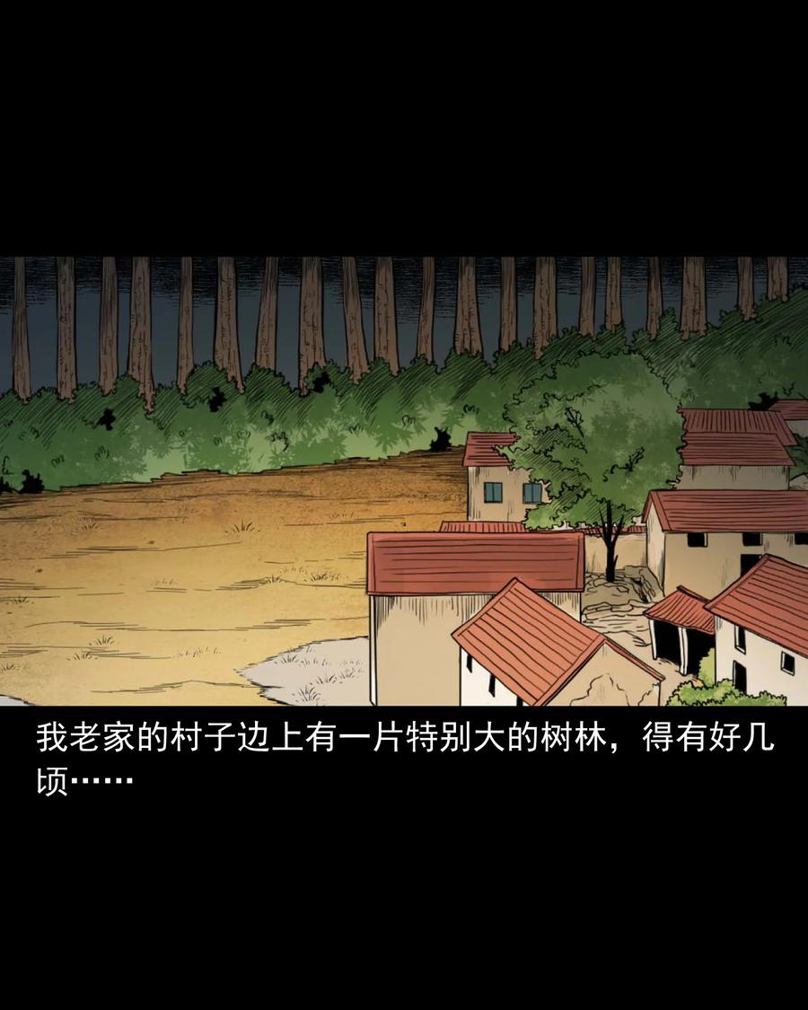三老爷惊奇手札韩漫全集-513 恐怖丛林无删减无遮挡章节图片 