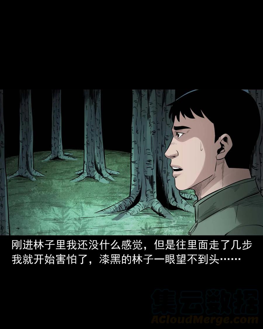 三老爷惊奇手札韩漫全集-513 恐怖丛林无删减无遮挡章节图片 