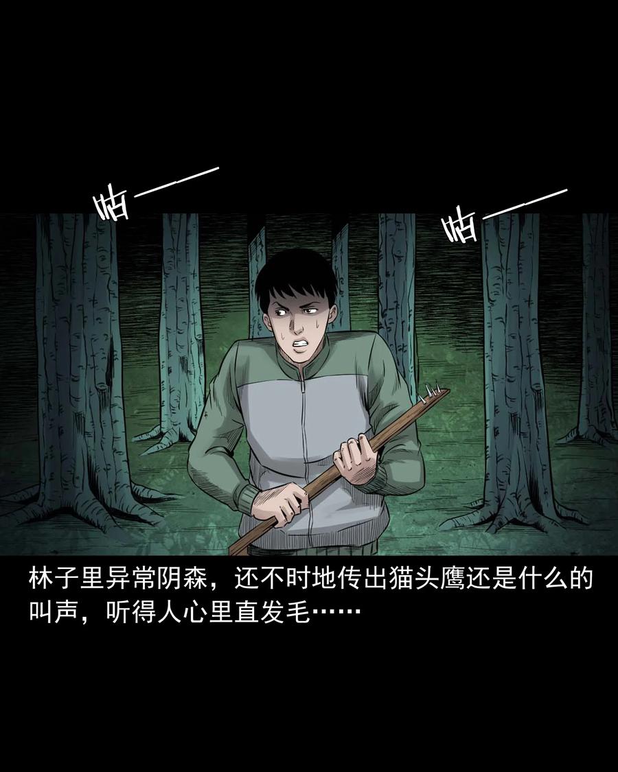 三老爷惊奇手札韩漫全集-513 恐怖丛林无删减无遮挡章节图片 