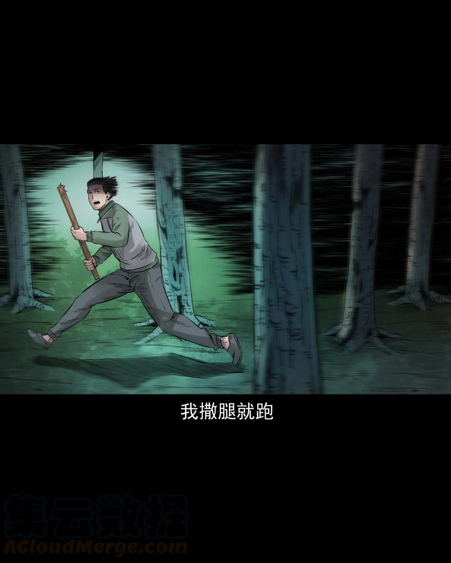 三老爷惊奇手札韩漫全集-513 恐怖丛林无删减无遮挡章节图片 