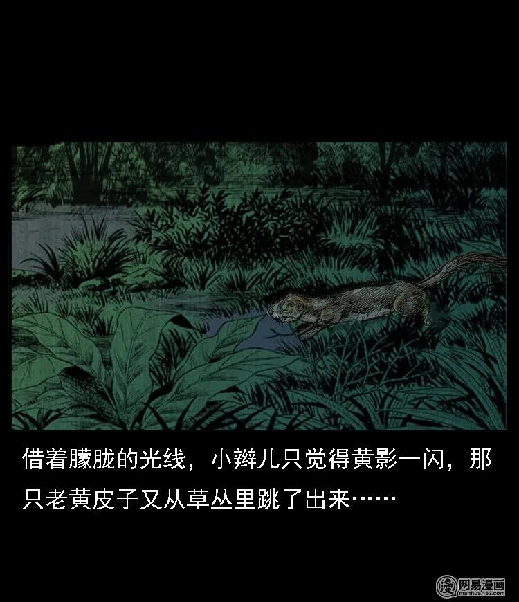 三老爷惊奇手札韩漫全集-53 富一刀战黄妖（下）无删减无遮挡章节图片 