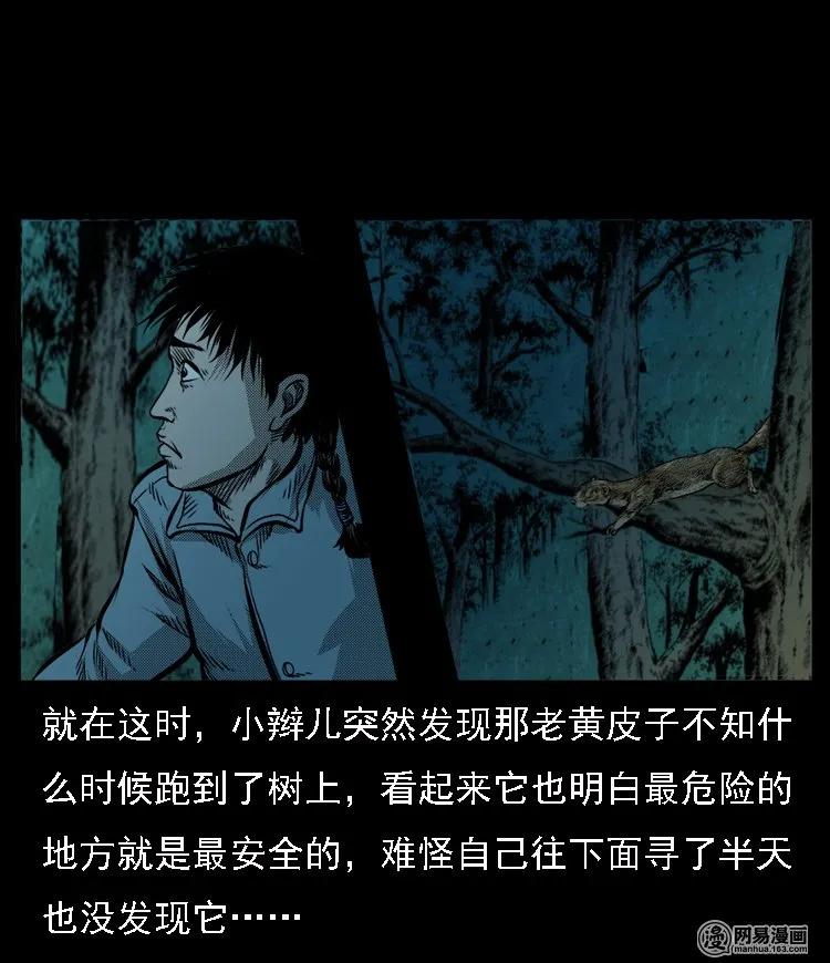 三老爷惊奇手札韩漫全集-53 富一刀战黄妖（下）无删减无遮挡章节图片 
