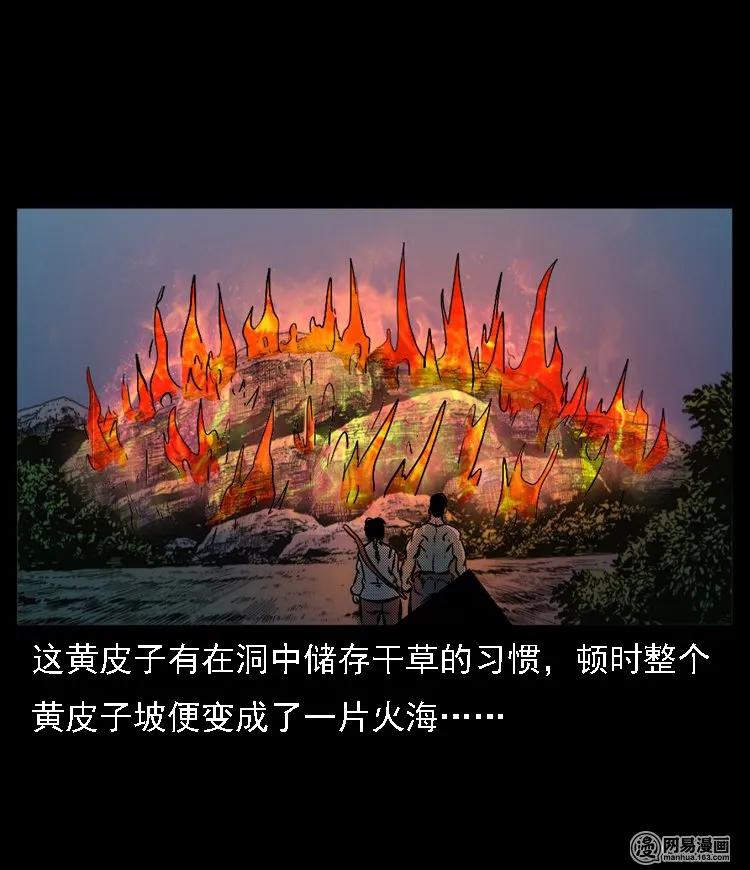 三老爷惊奇手札韩漫全集-53 富一刀战黄妖（下）无删减无遮挡章节图片 