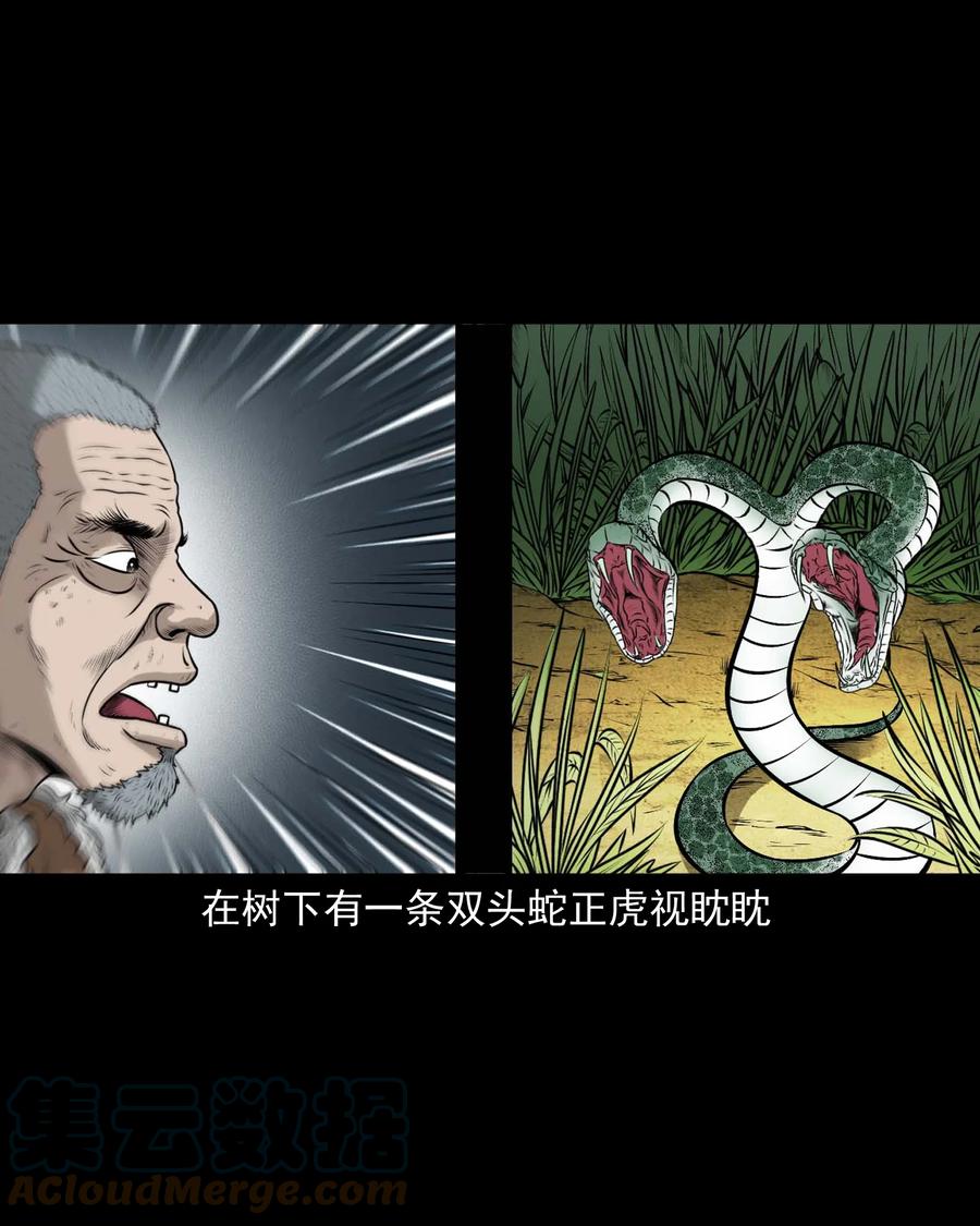三老爷惊奇手札韩漫全集-528 老烟鬼101无删减无遮挡章节图片 
