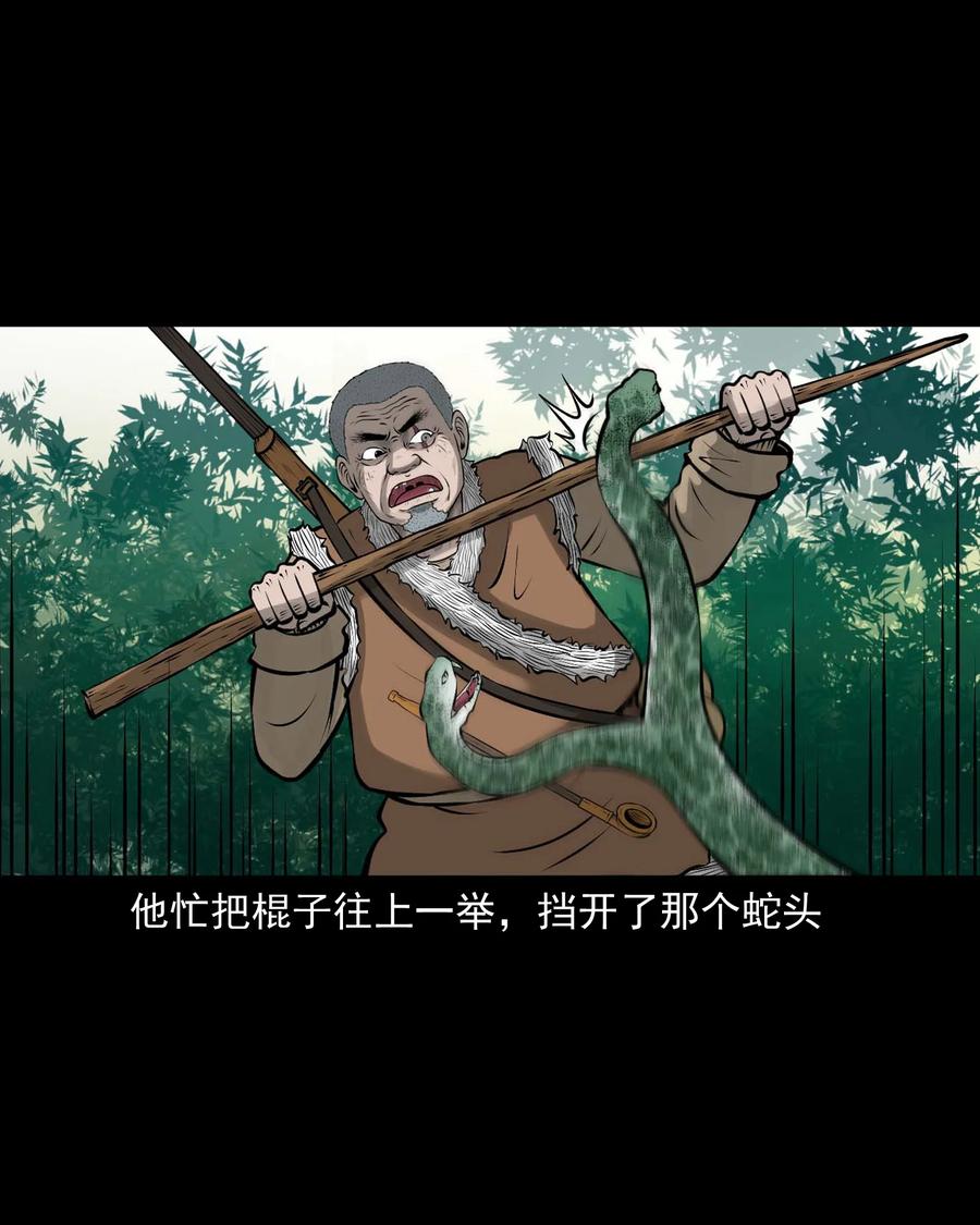 三老爷惊奇手札韩漫全集-528 老烟鬼101无删减无遮挡章节图片 