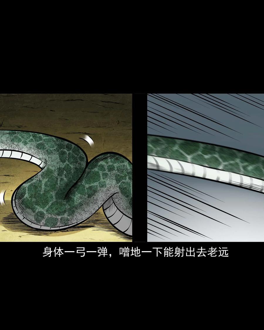 三老爷惊奇手札韩漫全集-528 老烟鬼101无删减无遮挡章节图片 