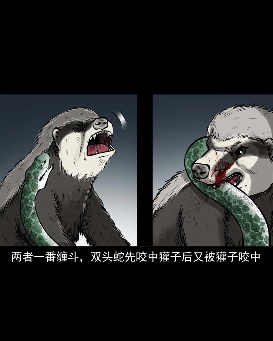 三老爷惊奇手札韩漫全集-528 老烟鬼101无删减无遮挡章节图片 