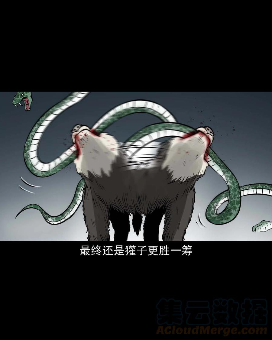 三老爷惊奇手札韩漫全集-528 老烟鬼101无删减无遮挡章节图片 