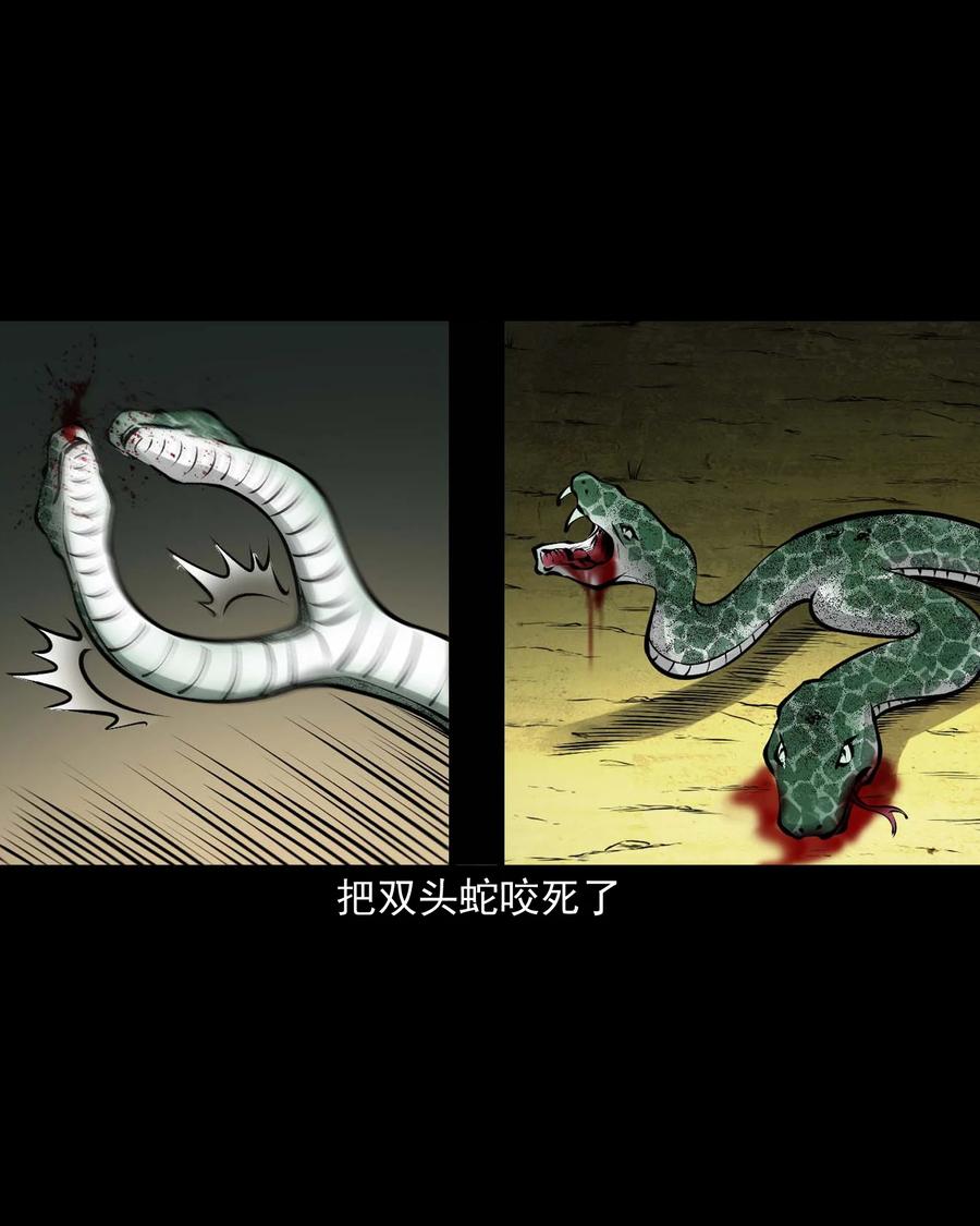 三老爷惊奇手札韩漫全集-528 老烟鬼101无删减无遮挡章节图片 