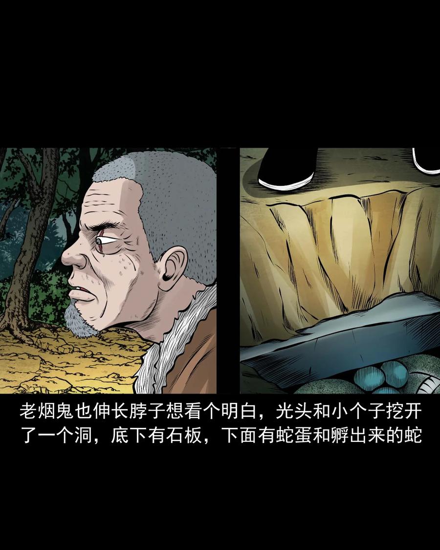 三老爷惊奇手札韩漫全集-530 老烟鬼102无删减无遮挡章节图片 