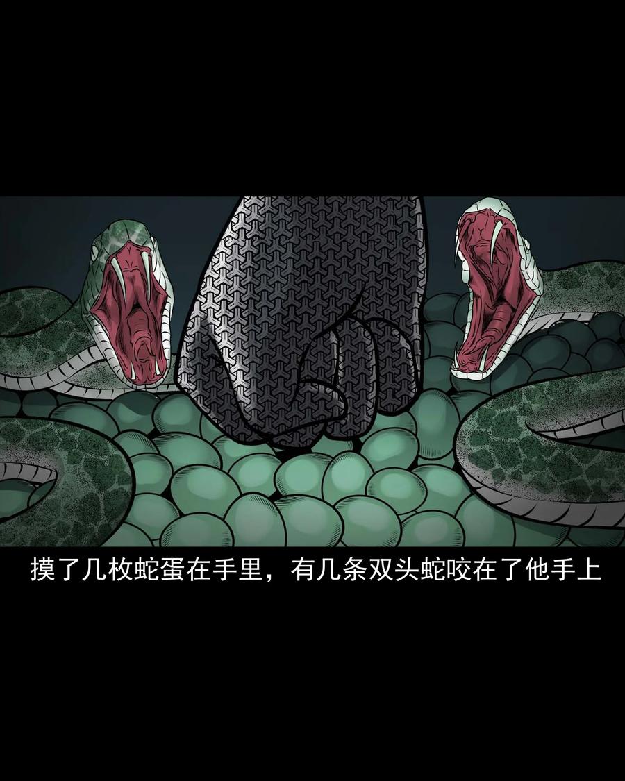 三老爷惊奇手札韩漫全集-530 老烟鬼102无删减无遮挡章节图片 