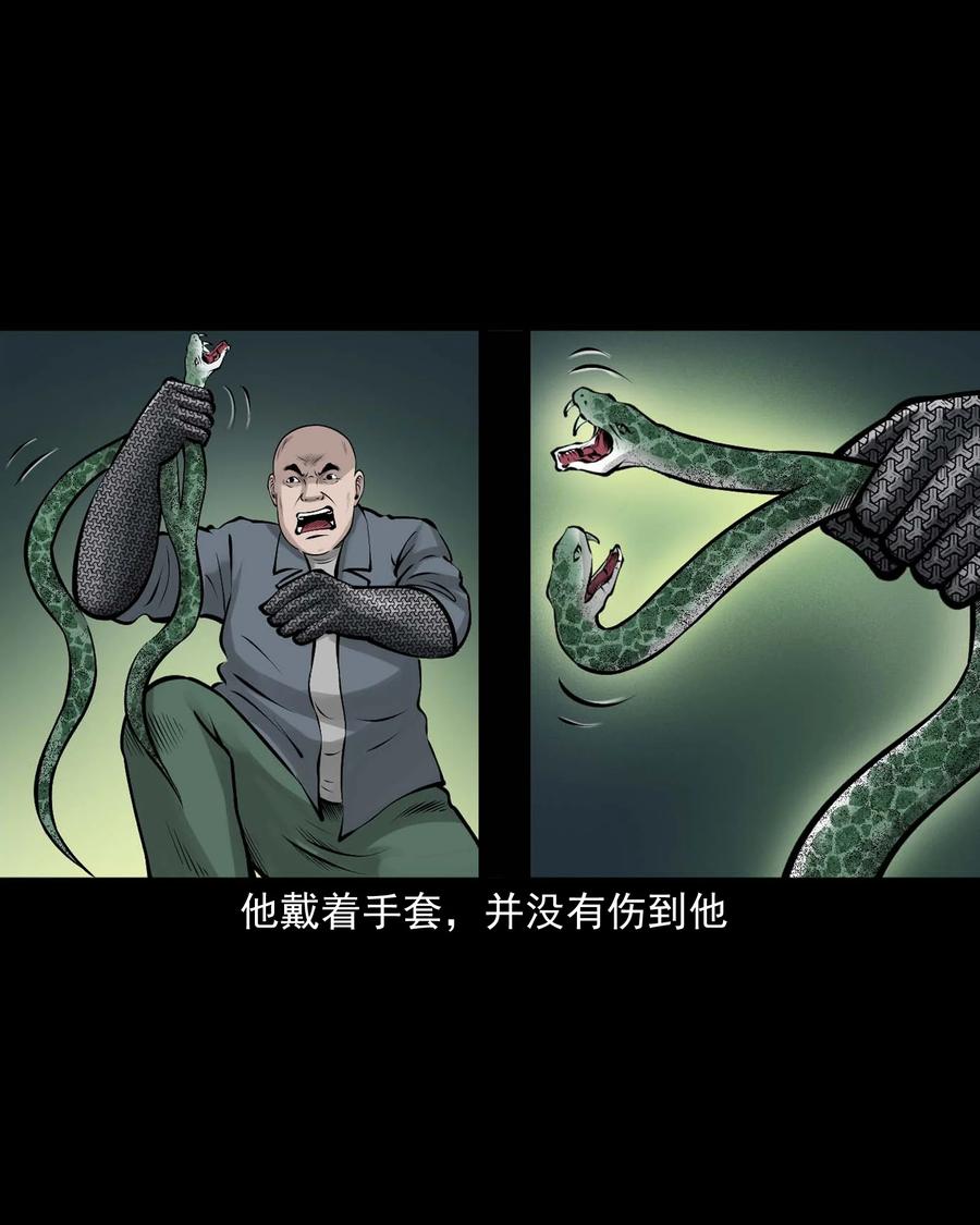 三老爷惊奇手札韩漫全集-530 老烟鬼102无删减无遮挡章节图片 
