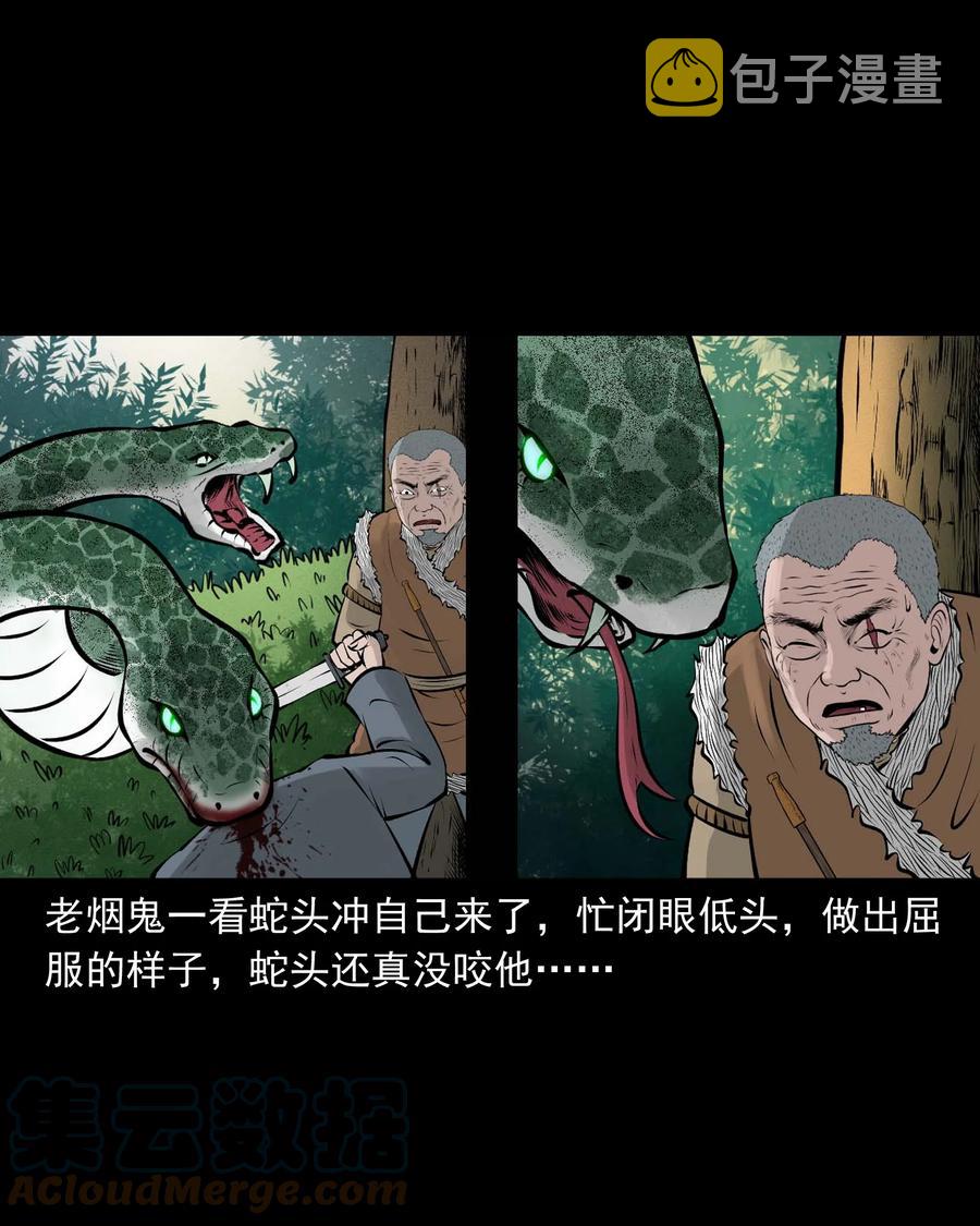 三老爷惊奇手札韩漫全集-530 老烟鬼102无删减无遮挡章节图片 