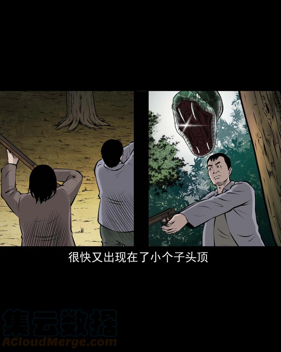 三老爷惊奇手札韩漫全集-530 老烟鬼102无删减无遮挡章节图片 