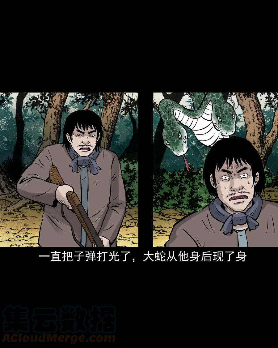 三老爷惊奇手札韩漫全集-530 老烟鬼102无删减无遮挡章节图片 