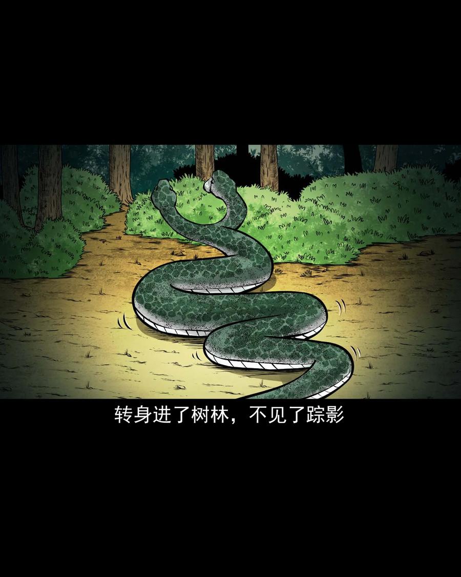 三老爷惊奇手札韩漫全集-530 老烟鬼102无删减无遮挡章节图片 
