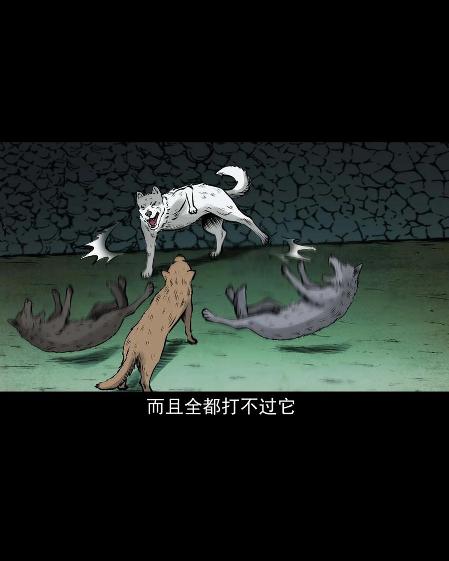 三老爷惊奇手札韩漫全集-532 老烟鬼103无删减无遮挡章节图片 