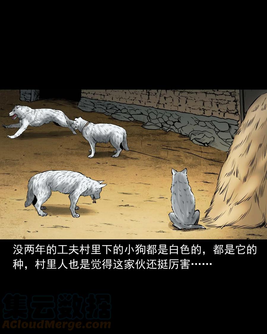 三老爷惊奇手札韩漫全集-532 老烟鬼103无删减无遮挡章节图片 