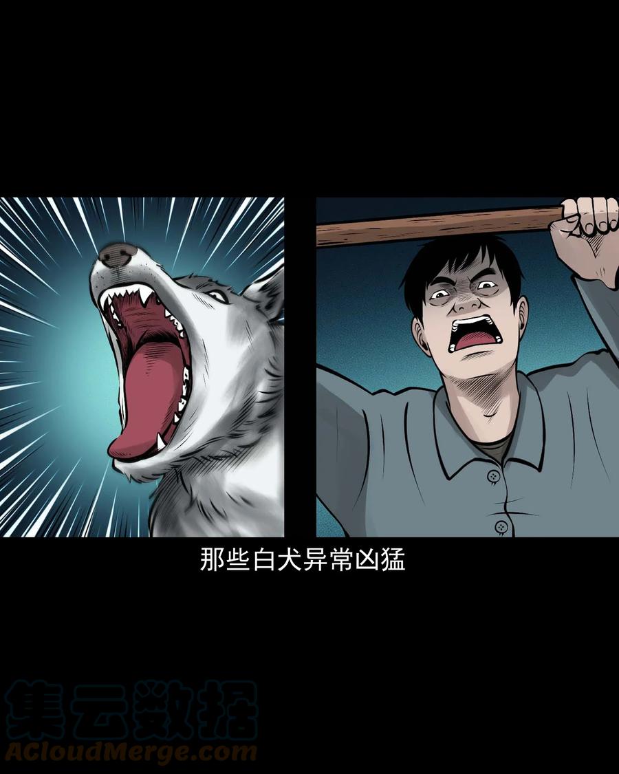 三老爷惊奇手札韩漫全集-534 老烟鬼104无删减无遮挡章节图片 