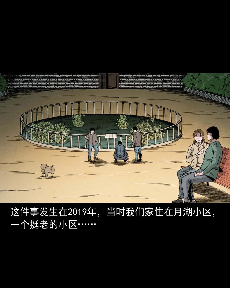 三老爷惊奇手札韩漫全集-537 不速来客无删减无遮挡章节图片 