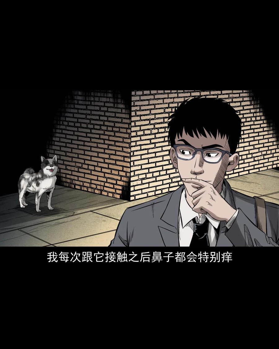 三老爷惊奇手札韩漫全集-539 犬灵无删减无遮挡章节图片 