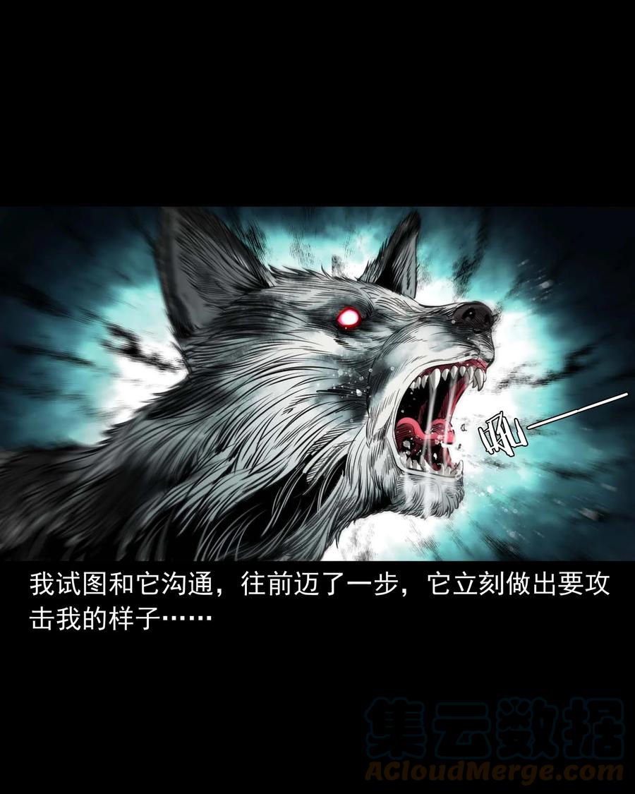 三老爷惊奇手札韩漫全集-539 犬灵无删减无遮挡章节图片 