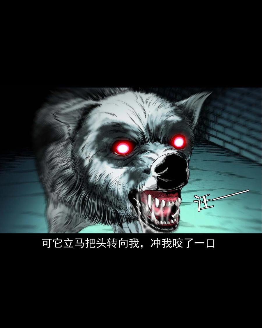 三老爷惊奇手札韩漫全集-539 犬灵无删减无遮挡章节图片 