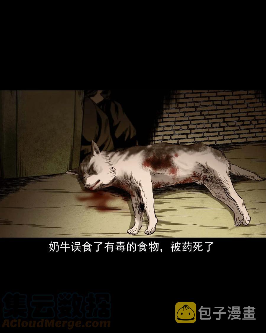 三老爷惊奇手札韩漫全集-539 犬灵无删减无遮挡章节图片 