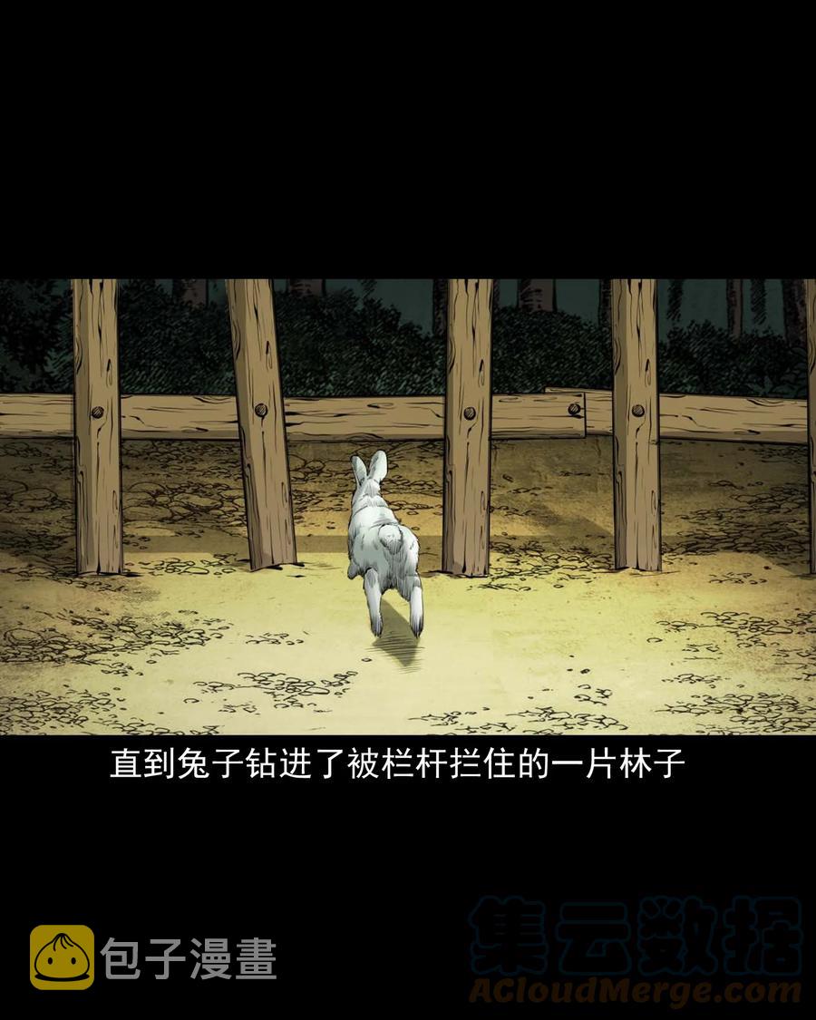 三老爷惊奇手札韩漫全集-541 吊死鬼无删减无遮挡章节图片 