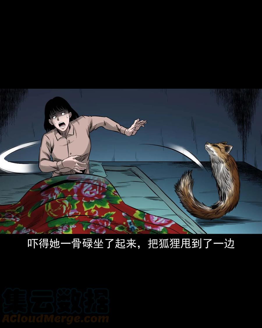 三老爷惊奇手札韩漫全集-545 狐狸围脖无删减无遮挡章节图片 