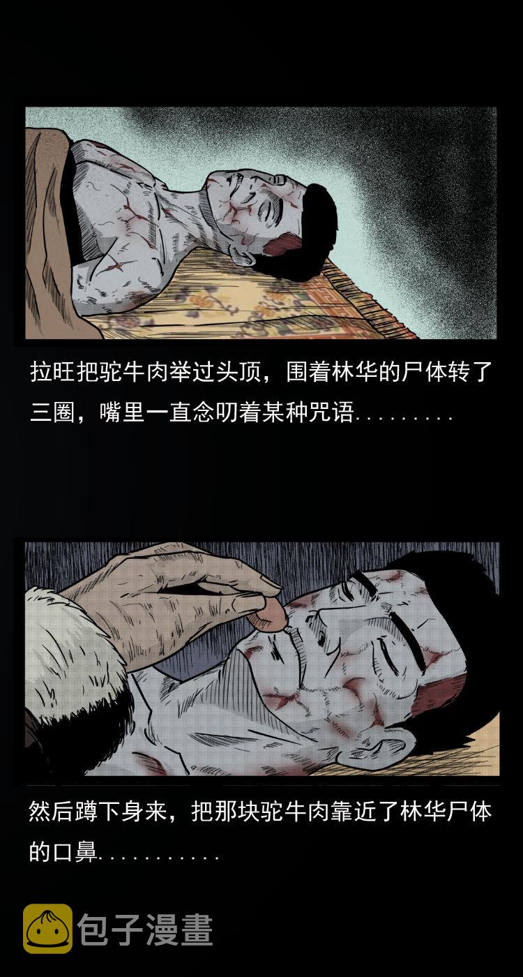 三老爷惊奇手札韩漫全集-7 雪山尸虫无删减无遮挡章节图片 