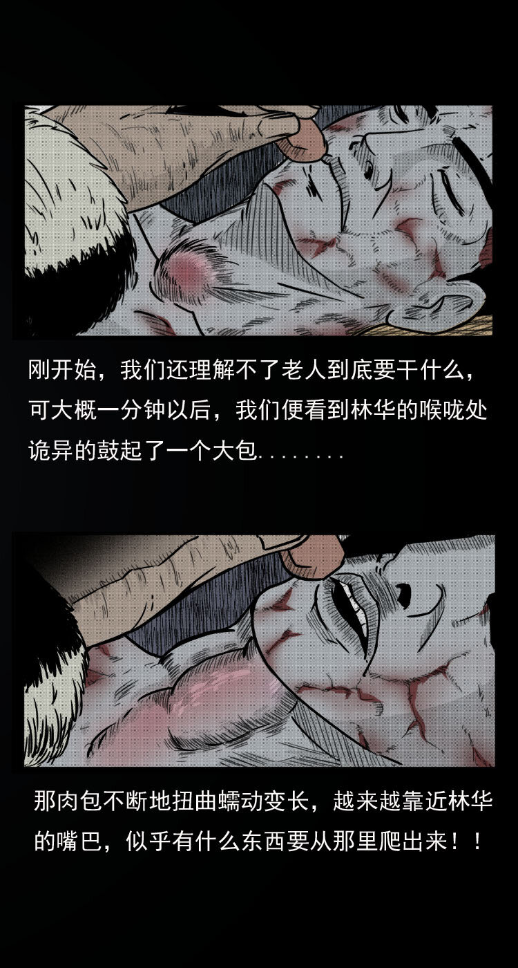 三老爷惊奇手札韩漫全集-7 雪山尸虫无删减无遮挡章节图片 
