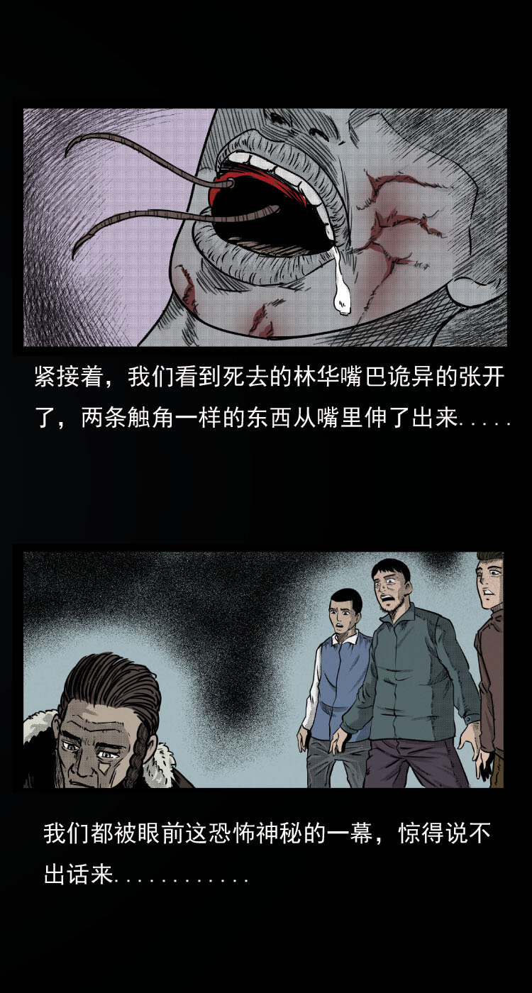 三老爷惊奇手札韩漫全集-7 雪山尸虫无删减无遮挡章节图片 