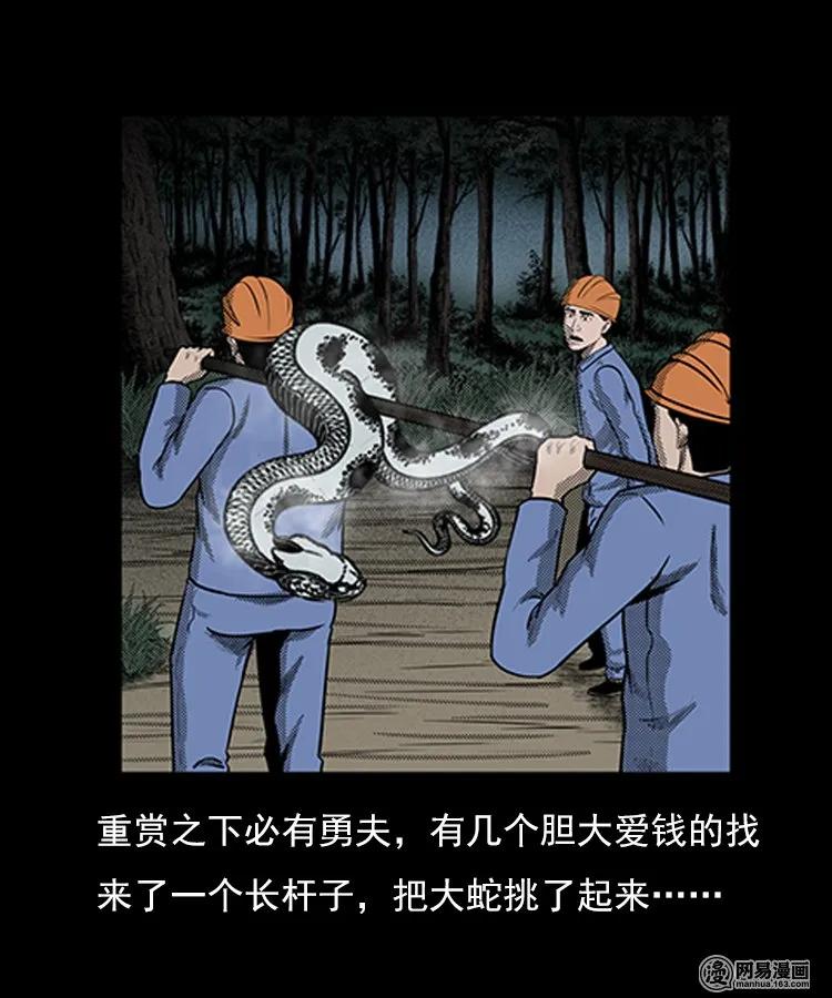 三老爷惊奇手札韩漫全集-80 蛇孩子无删减无遮挡章节图片 