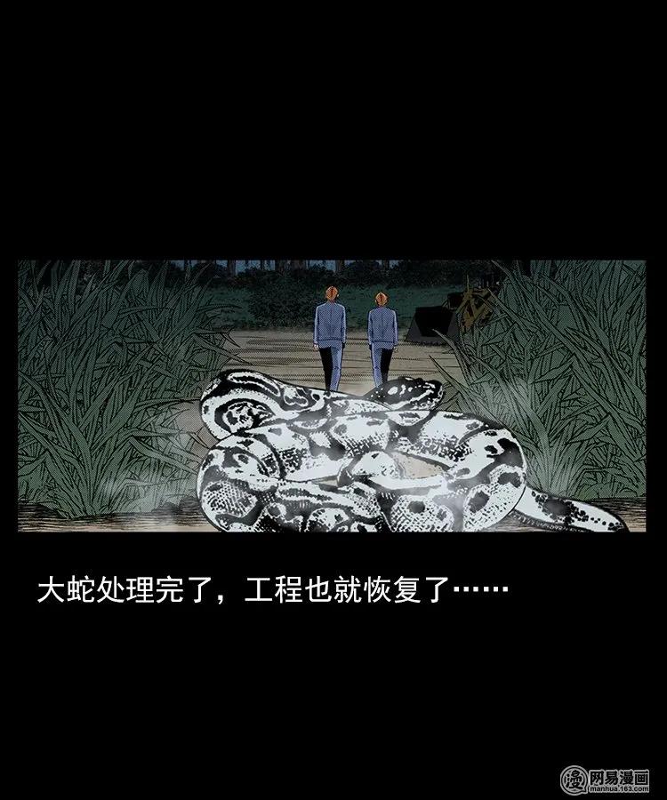 三老爷惊奇手札韩漫全集-80 蛇孩子无删减无遮挡章节图片 