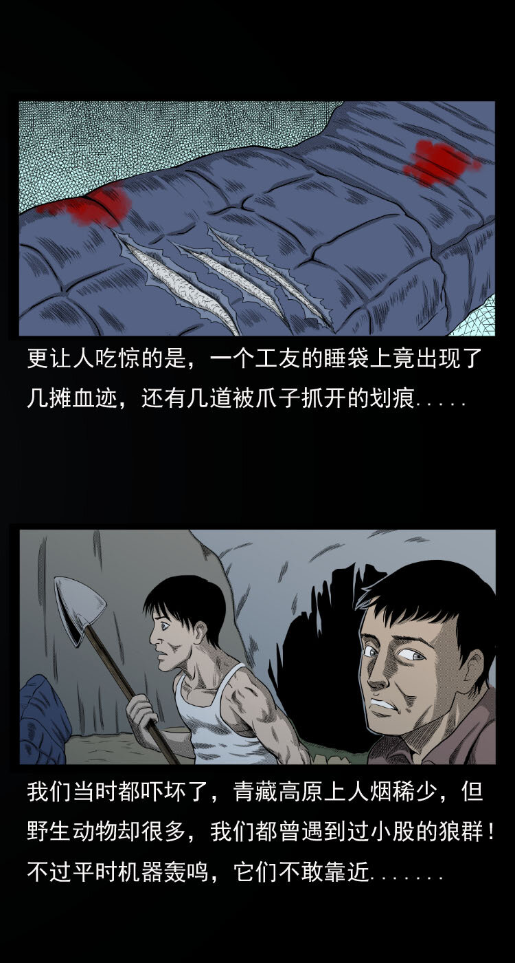 三老爷惊奇手札韩漫全集-10 青藏铁路怪物事件无删减无遮挡章节图片 
