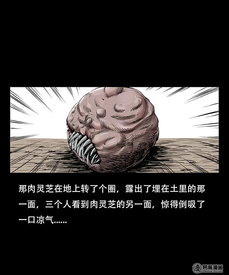 三老爷惊奇手札韩漫全集-92 邪太岁无删减无遮挡章节图片 