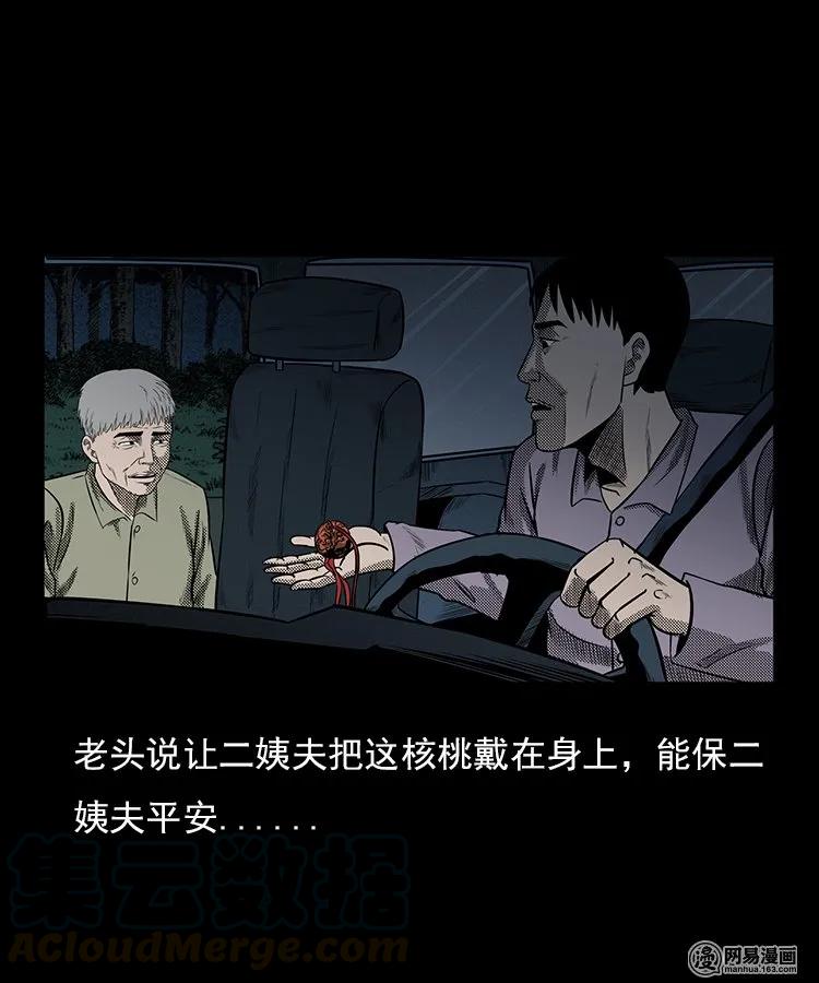 三老爷惊奇手札韩漫全集-94 救命核桃无删减无遮挡章节图片 