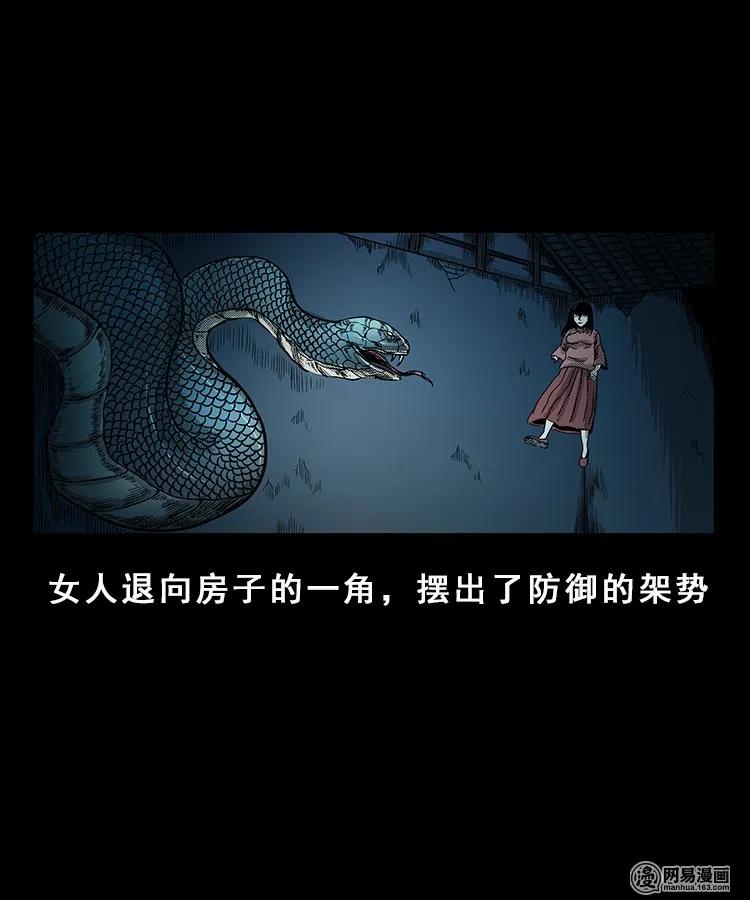 三老爷惊奇手札韩漫全集-100 扎彩匠破凶宅（下）无删减无遮挡章节图片 