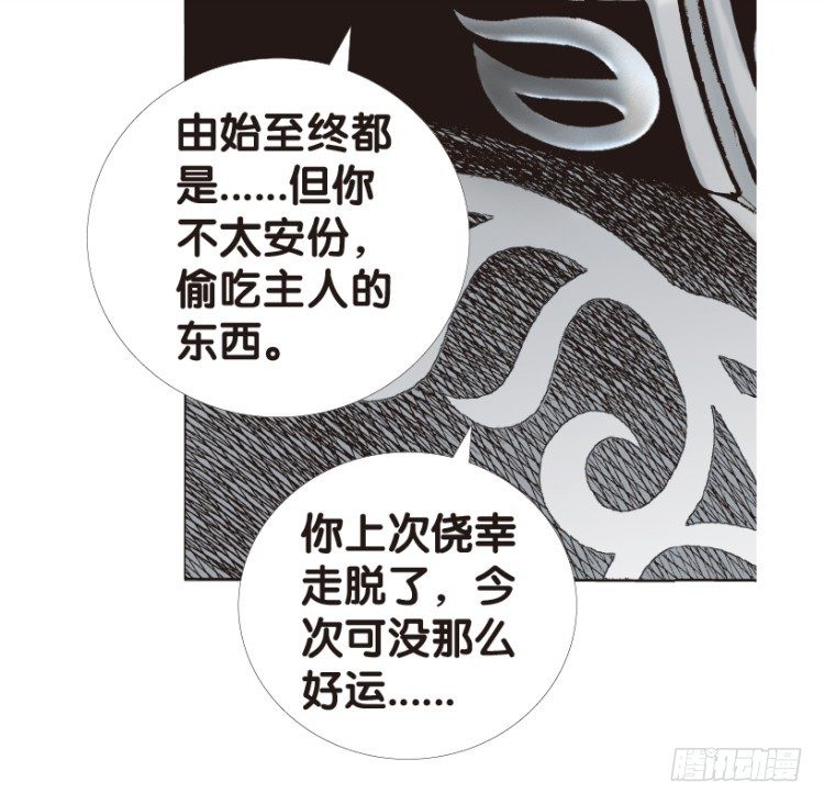 杀道行者韩漫全集-第164话：虎威3无删减无遮挡章节图片 
