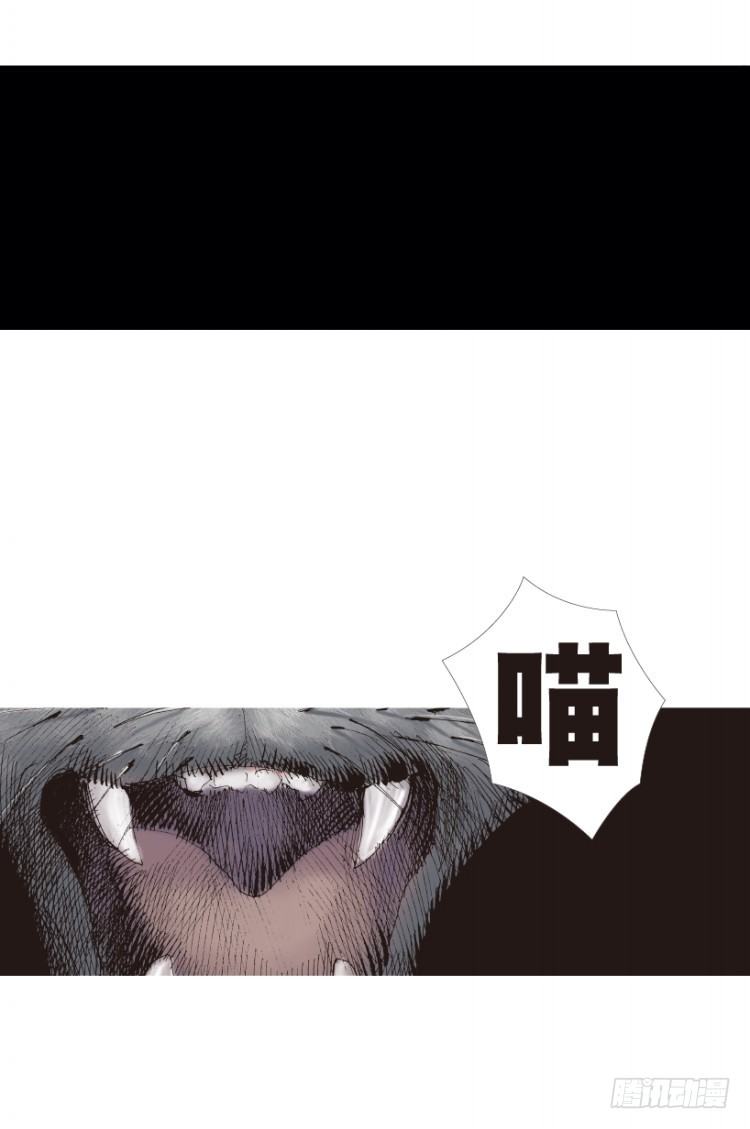 杀道行者韩漫全集-第199话：死亡之城无删减无遮挡章节图片 